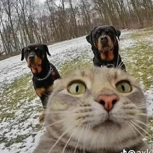 Meet your Posher, Kiley